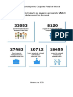 Raport statistic pentru luna noiembrie1