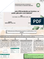 Polihidroxialcanoatos (PHA) Producidos Por Bacterias y Su Posible Aplicación A Nivel Industrial