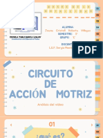 Circuito de Accion Mtriz 1