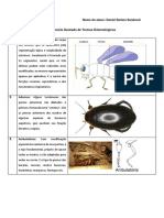 Daniel Santos Sandoval - Entomologia Florestal - Atividade 1