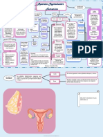 R.femenino Mapa