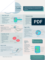 Specialised cells and their functions