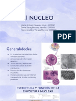 Estructura y funciones del núcleo celular