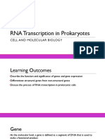 Transcription in Prokaryotes PPT