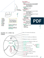 Anatomía- Cráneo- Resumen