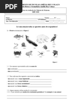 CN_5ºano_forma e revestimento