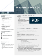 CV - Maamoun MILADI - FR