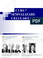 Curs 7 SEMNALIZARE