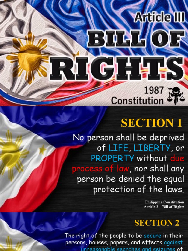 Philippine Bill of Rights Overview | PDF | Search And Seizure | Social ...