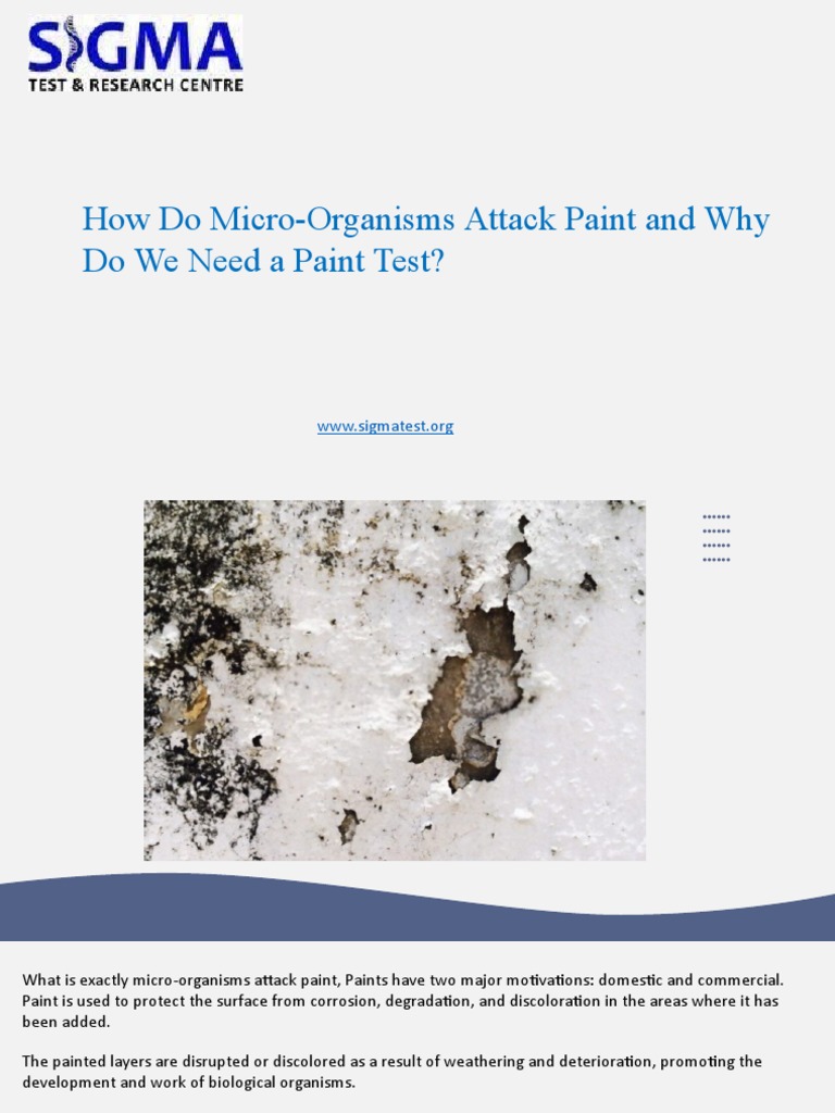 How To Test Paint Quality and Why Paint Testing Is Required | PDF ...
