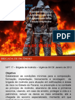 Brigada de Incêndio 2016