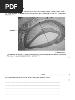 Bio Unit 1 Heart n Blood.docx