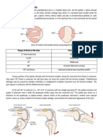 Anatomy (Patellofemoral Joint)