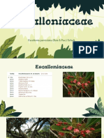 escalloniaceae y euphorbiaceae 