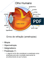 O Olho Humano