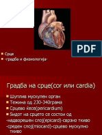 Градба и физиологија на срце