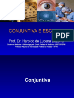 Conjuntiva e Esclera - Dr. Haroldo de Lucena Bezerra