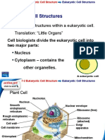 Ciclo 3. Septimo4. Cell Organelles
