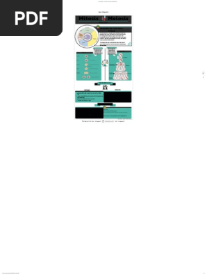 Cells Infographic - by Neixene Jade Sobrevega [Infographic]