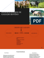 Generalidades de Ganado Bovíno