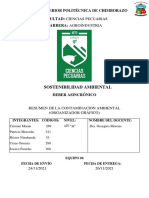 Equipo 6 Contaminacion Ambiental Mapa Mental