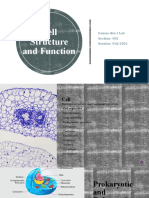 Cell Structure and Function