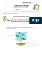 Ciencias 3ºB GUÍA Estructuras de Las Plantas