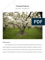The Orchard Hideout - 11 02 21 - Unit Problem and Portfolio
