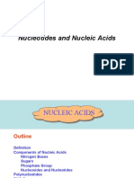 Chapter 8. Nucleotides and Nucleic Acids