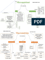 Organizador Grafico Macronutrientes y Micronutrientes