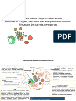 6. Мембранни органели