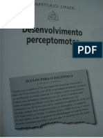 Desenvolvimento Perceptomotor