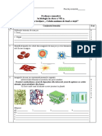 Evaluare Sumativă 1, Cl.7 (1)