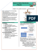 Resumo Tutoria Sp3 Uct Ix