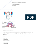 Embriologia Do Sistema Cardíaco