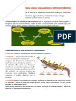 Resumo Obtencao Materia Dos Seres Heterotroficos