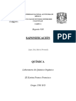 Reporte Saponificación