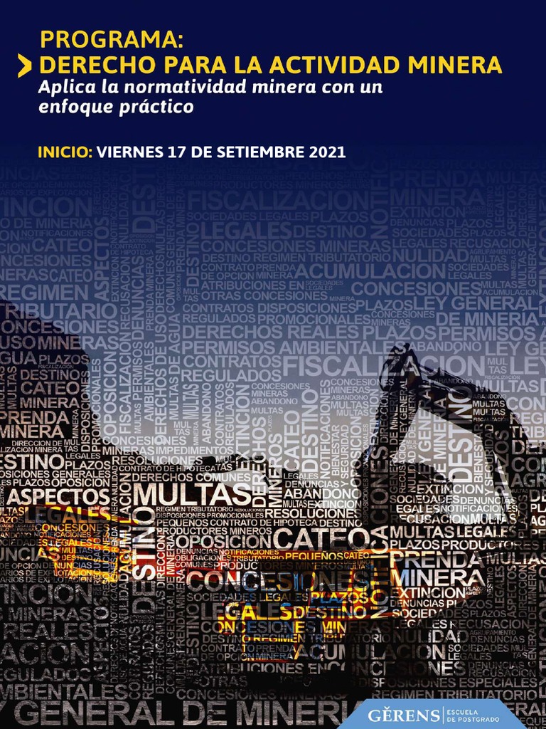 Derecho para La Actividad Minera | PDF | Minería | Política