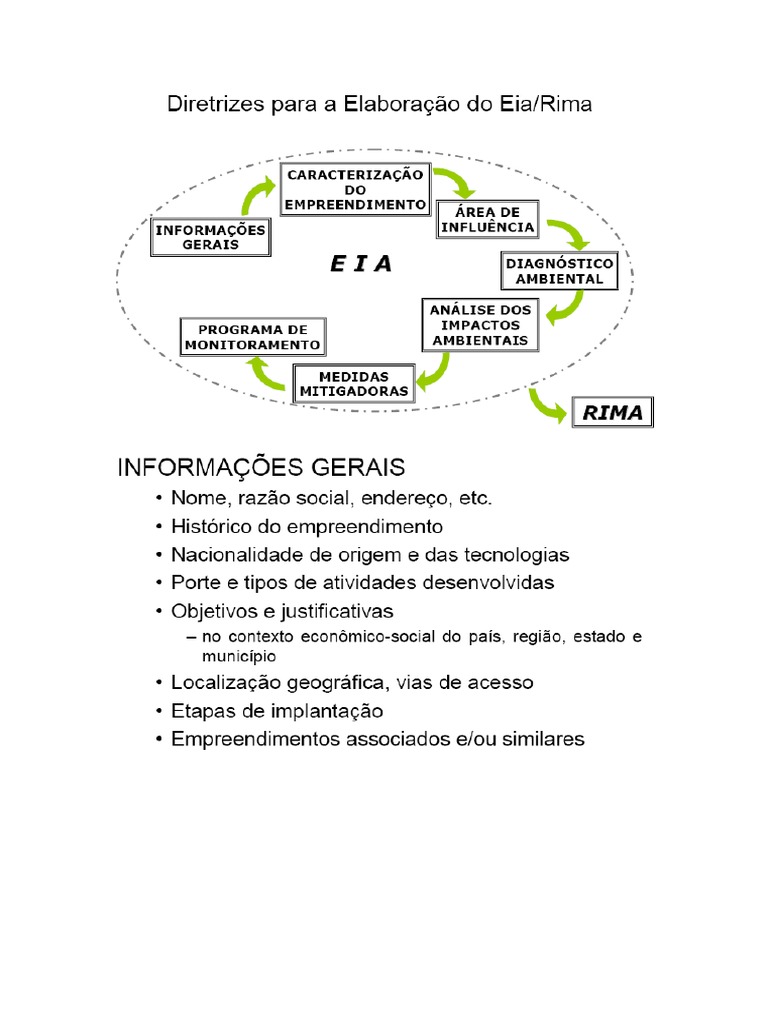 Diretrizes - Elaboração Eia-Rima | PDF
