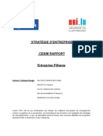 Stratégie D'entreprise CESIM Rapport