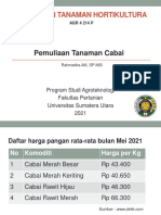 PET Horti Cabai - 5