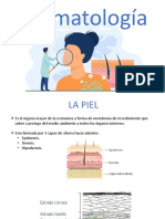 Dermatologia La Piel