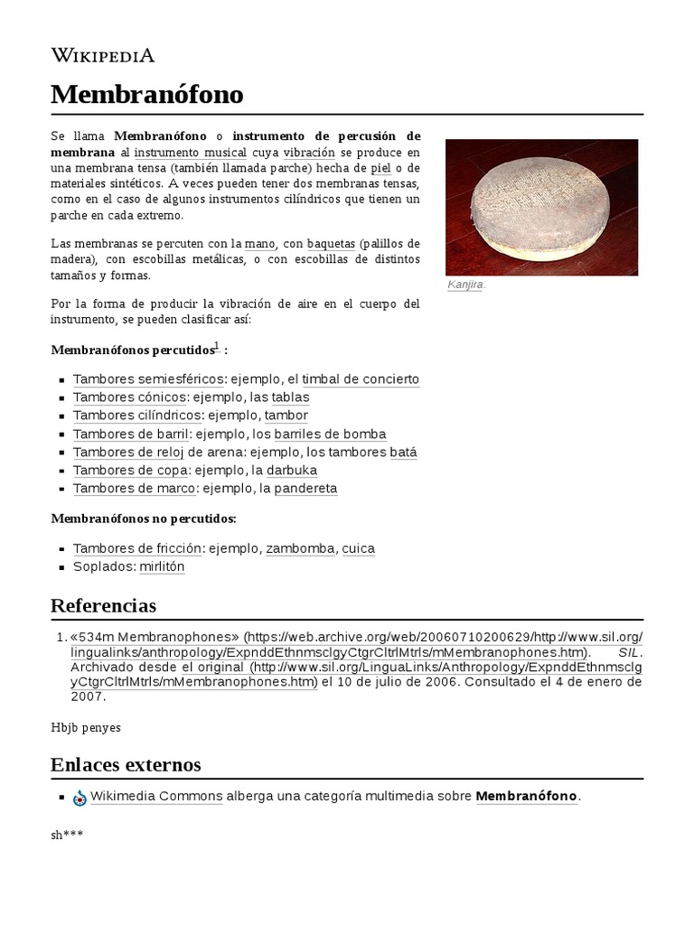 Tipos de Membranófonos Musicales | PDF | Arte