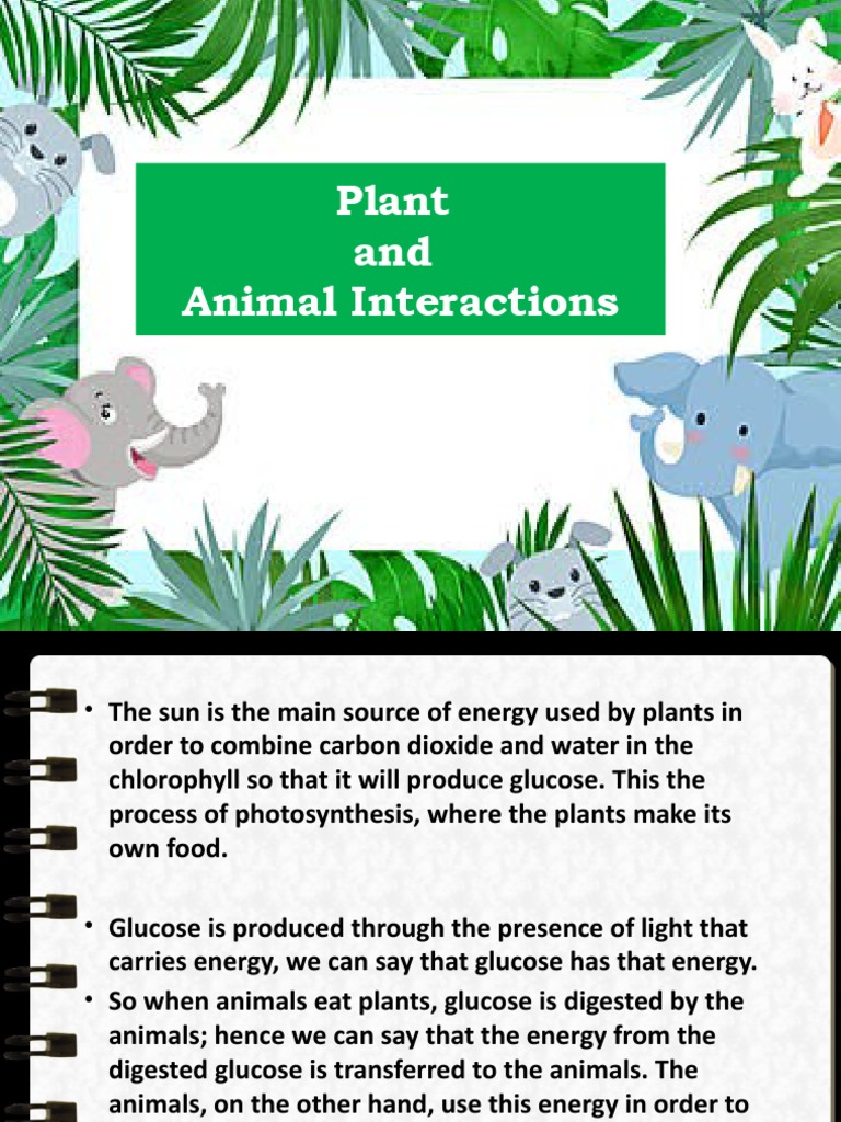 Plant and Animal Interactions PDF