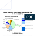 Causes Death U5 Neonates 2004