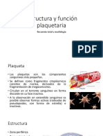estructura funcion plaquetaria y recuento (1)
