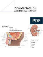 Keganasan Prostat Dan Kandung Kemih - Dr. Dwi Waskito, Sp.u