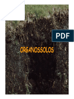 Organossolos 