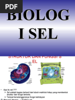 Cesa ppt