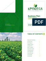 Kpokota-Business Plan - Compressed